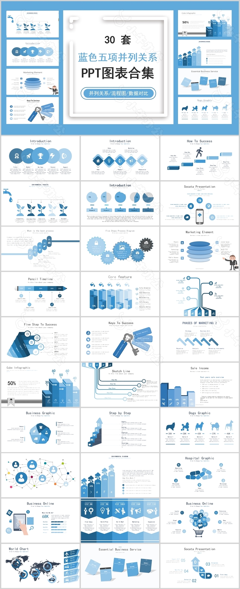 30套蓝色五项并列关系图表PPT合集