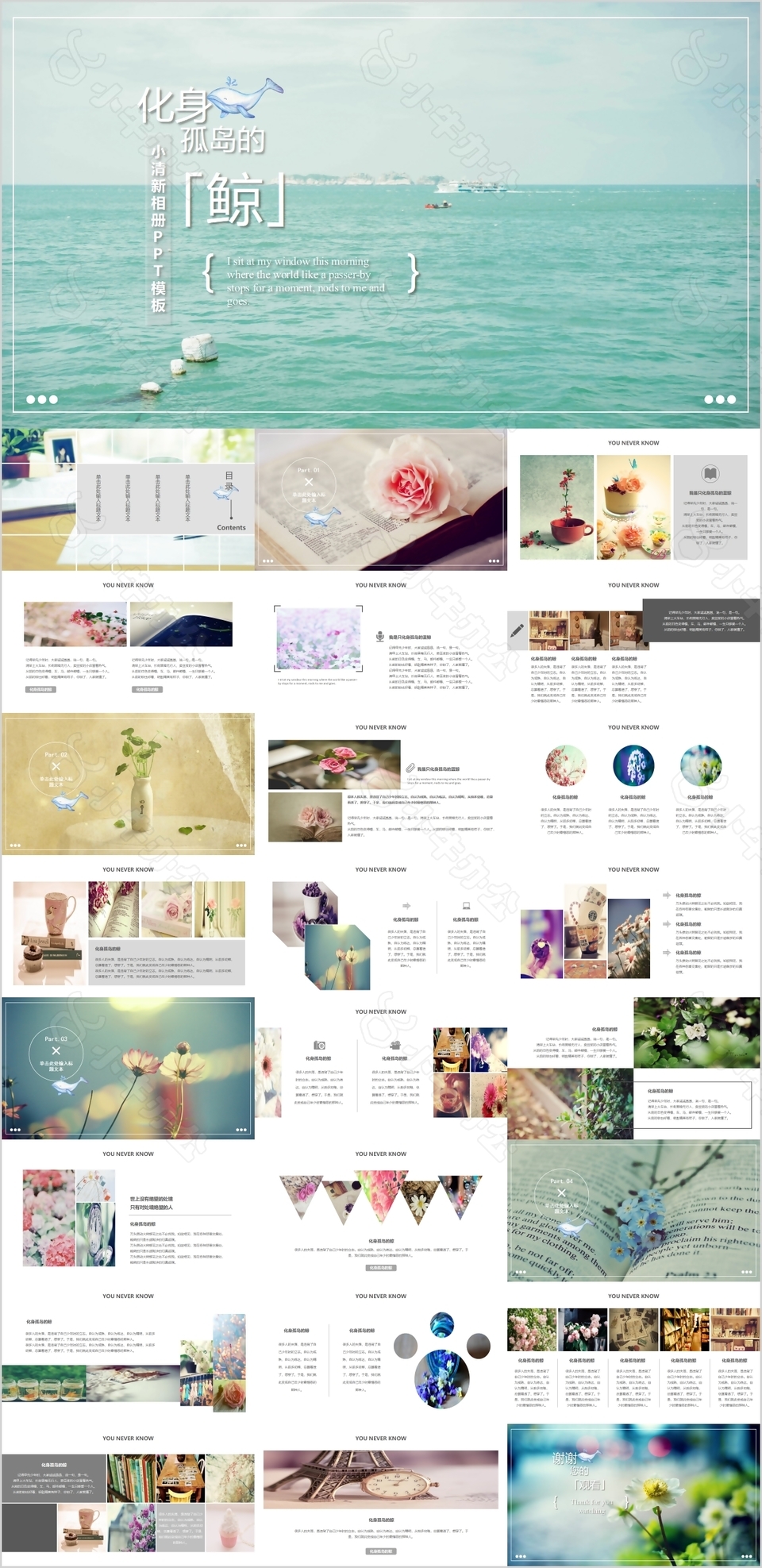 治愈系小清新化身孤岛的鲸相册PPT模板