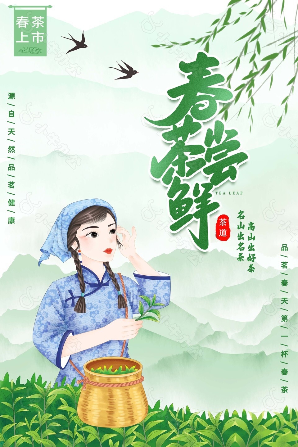 春茶上市采茶女插画海报图片大全