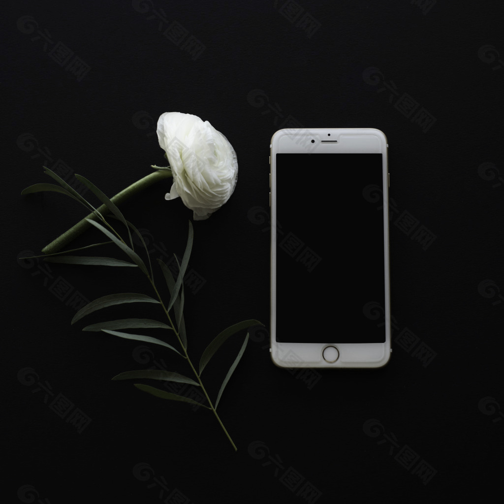花朵和手机
