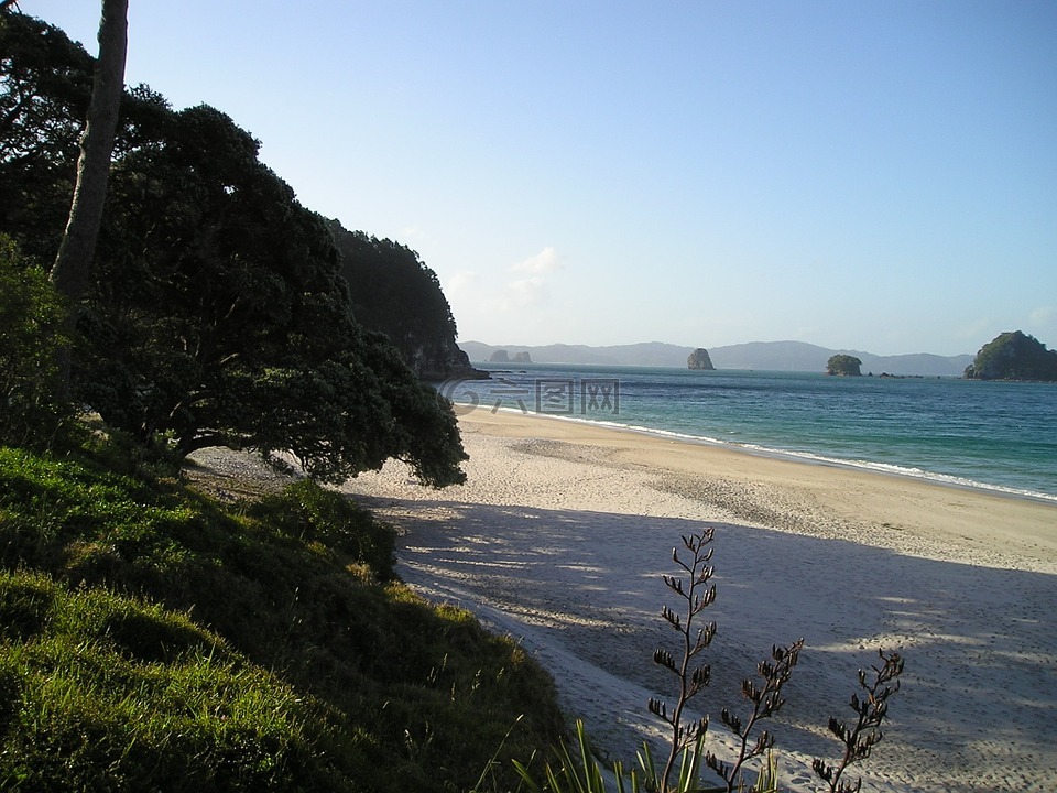美丽的海滩,新西兰,海滩