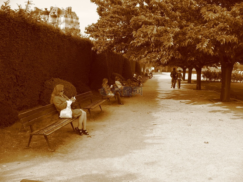 公园,长凳,巴黎