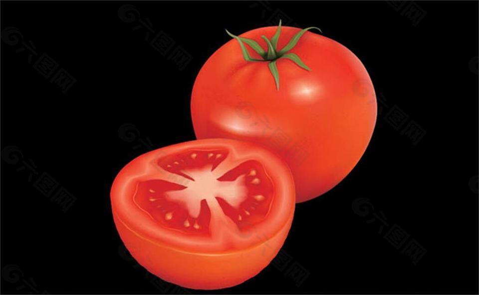 水灵灵的番茄flash高清动画