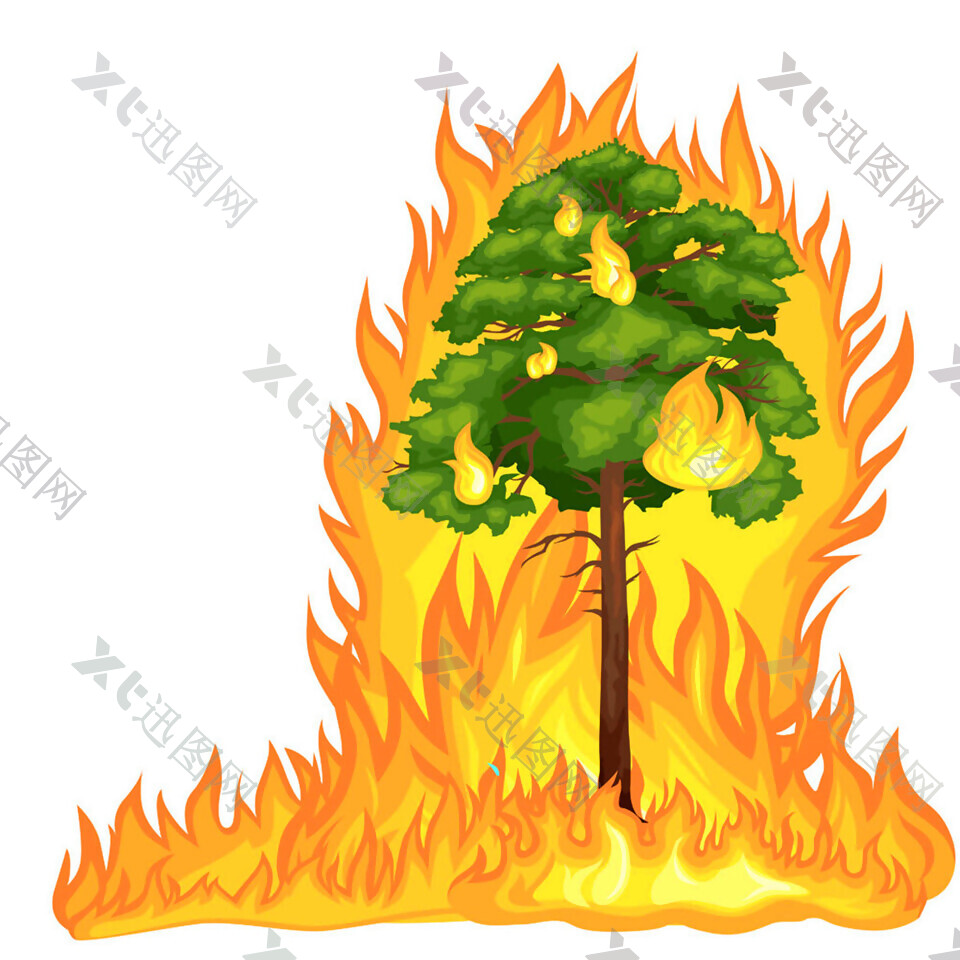 大火绿树图片