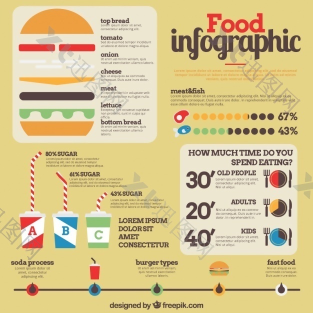 食品信息图表模板与汉堡和一些图