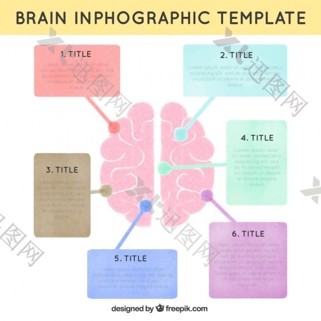 人类大脑的信息图表模板在柔和的颜色