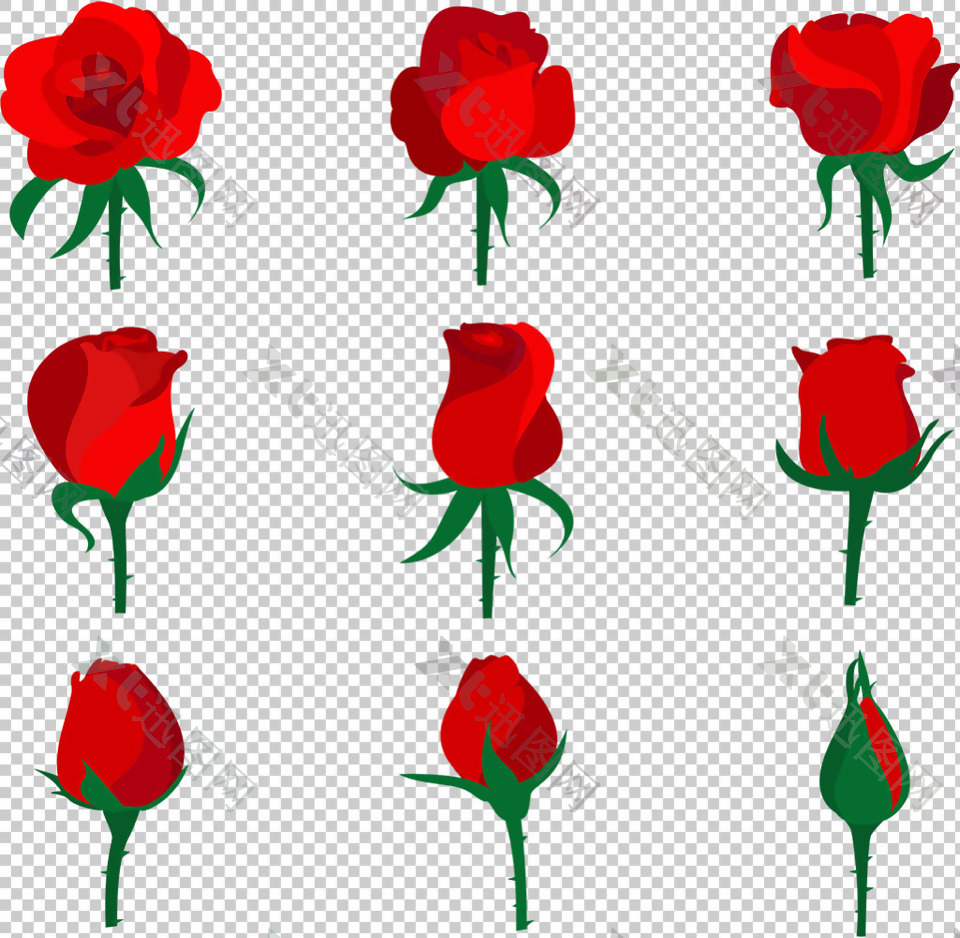 漂亮红玫瑰插图免抠png透明图层素材