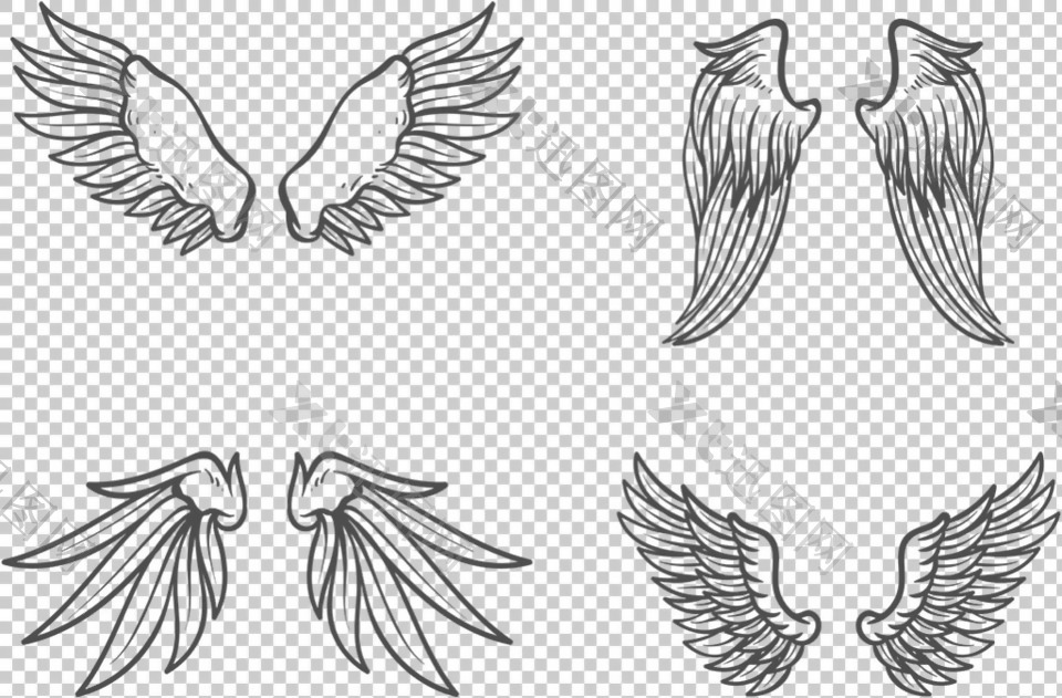 素描风格鸟类翅膀插图免抠png透明素材