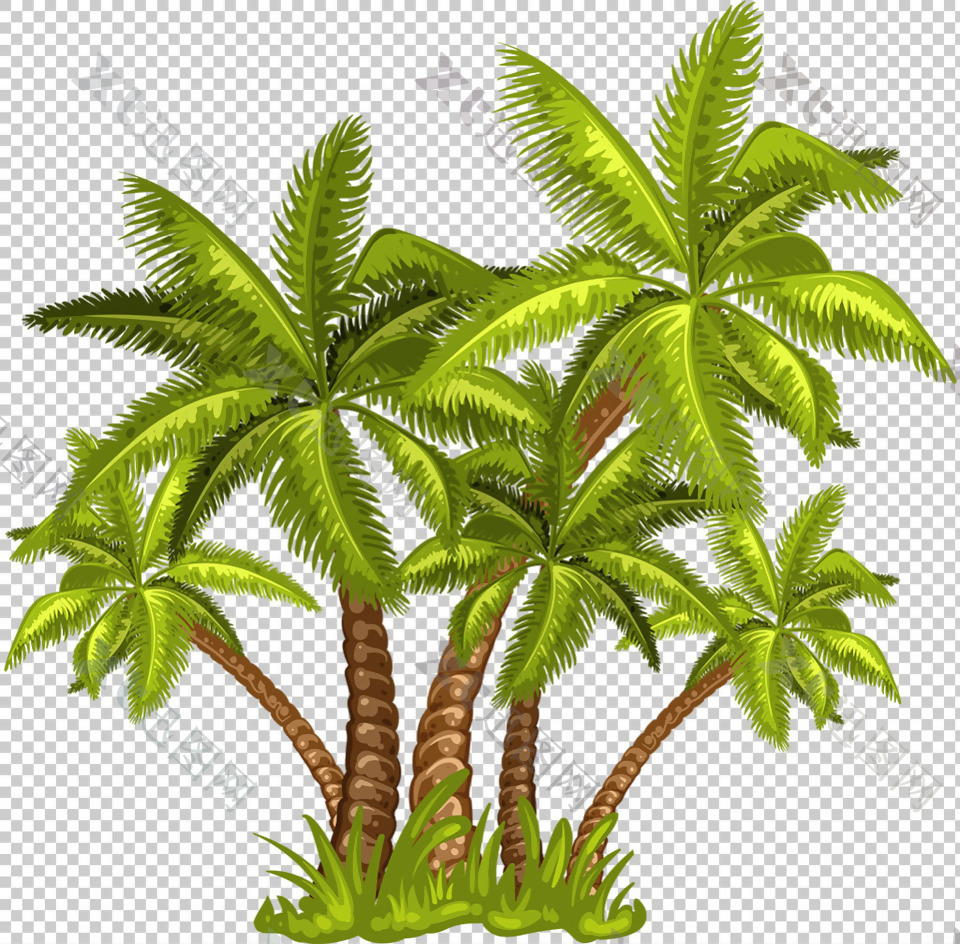 棕榈树丛免抠png透明图层素材
