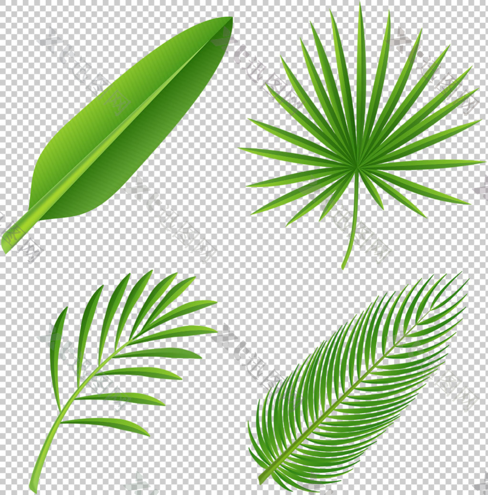 手绘棕榈叶子免抠png透明图层素材