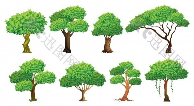 许多树的插图