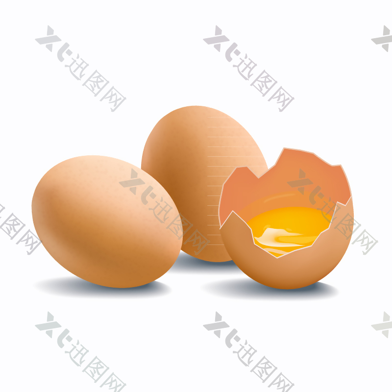 2个新鲜鸡蛋和1个打碎的鸡蛋矢量