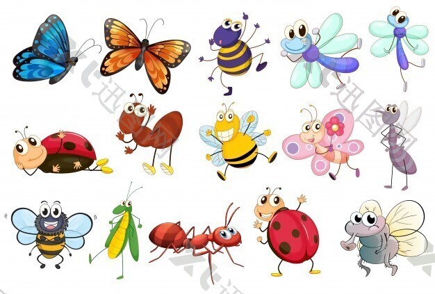 一组不同种类昆虫的插图