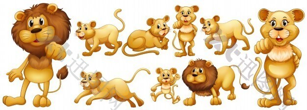 野生狮子插画系列
