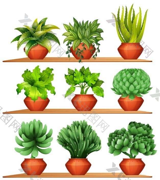 陶罐里的各种植物插图