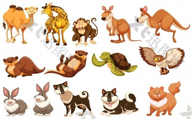 一套不同类型的动物插画