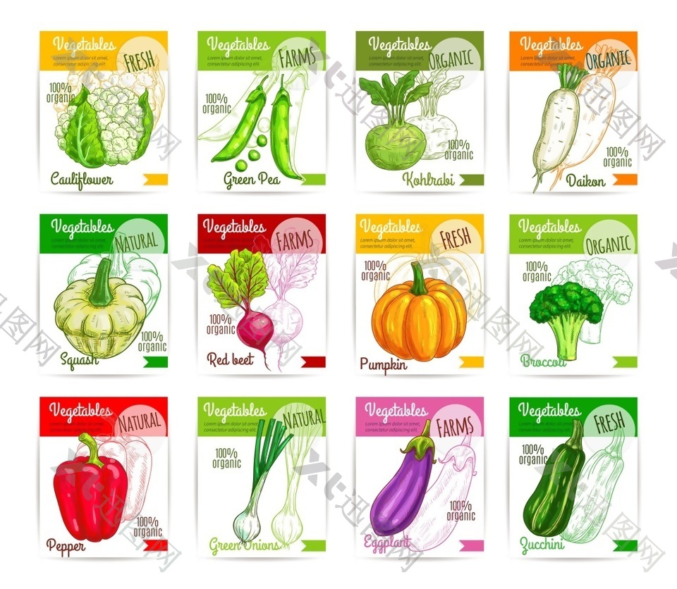 健康蔬菜水果海报卡片