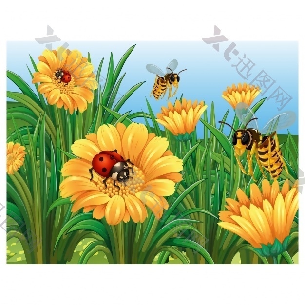 昆虫和花卉背景