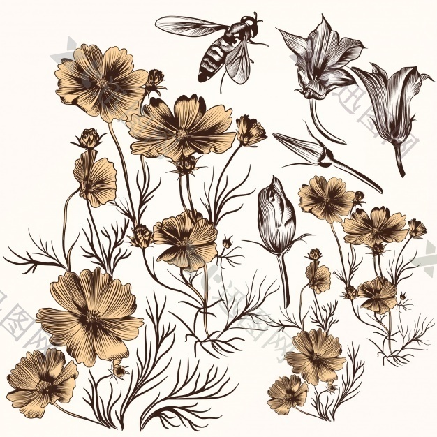 一包手绘的花和蜜蜂
