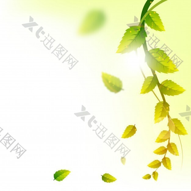绿色的树叶特写的自然观，自然的绿色的叶子。