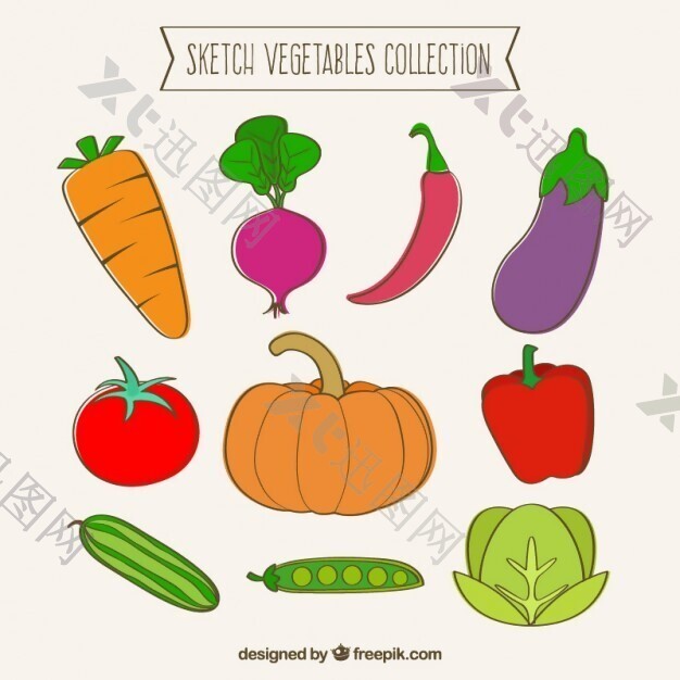 素描蔬菜集合