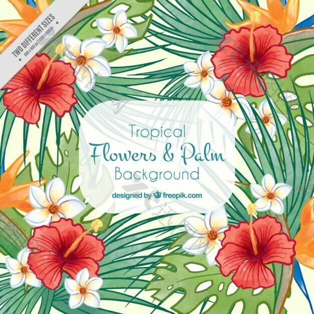 手绘花卉和棕榈叶夏季背景