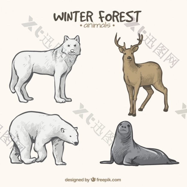 四只手绘的冬季动物