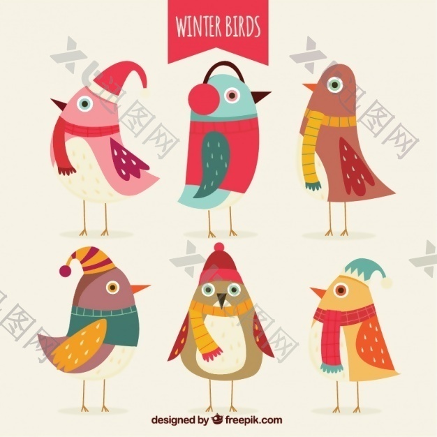 不同冬季配件的彩色鸟群