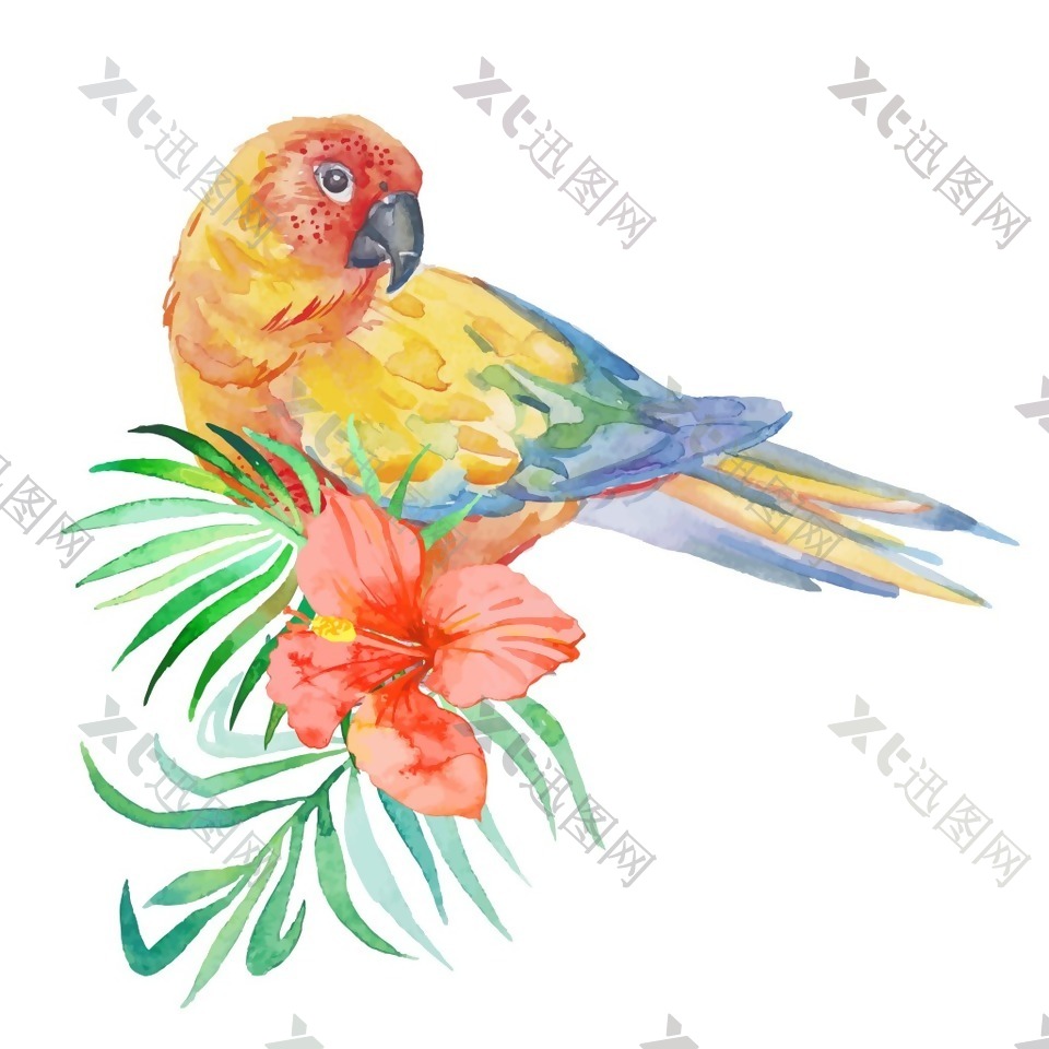 水彩绘鹦鹉和花朵插画