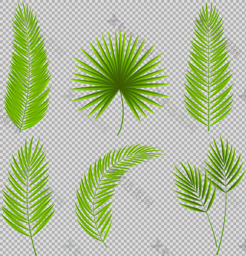 热带树叶插画免抠png透明图层素材