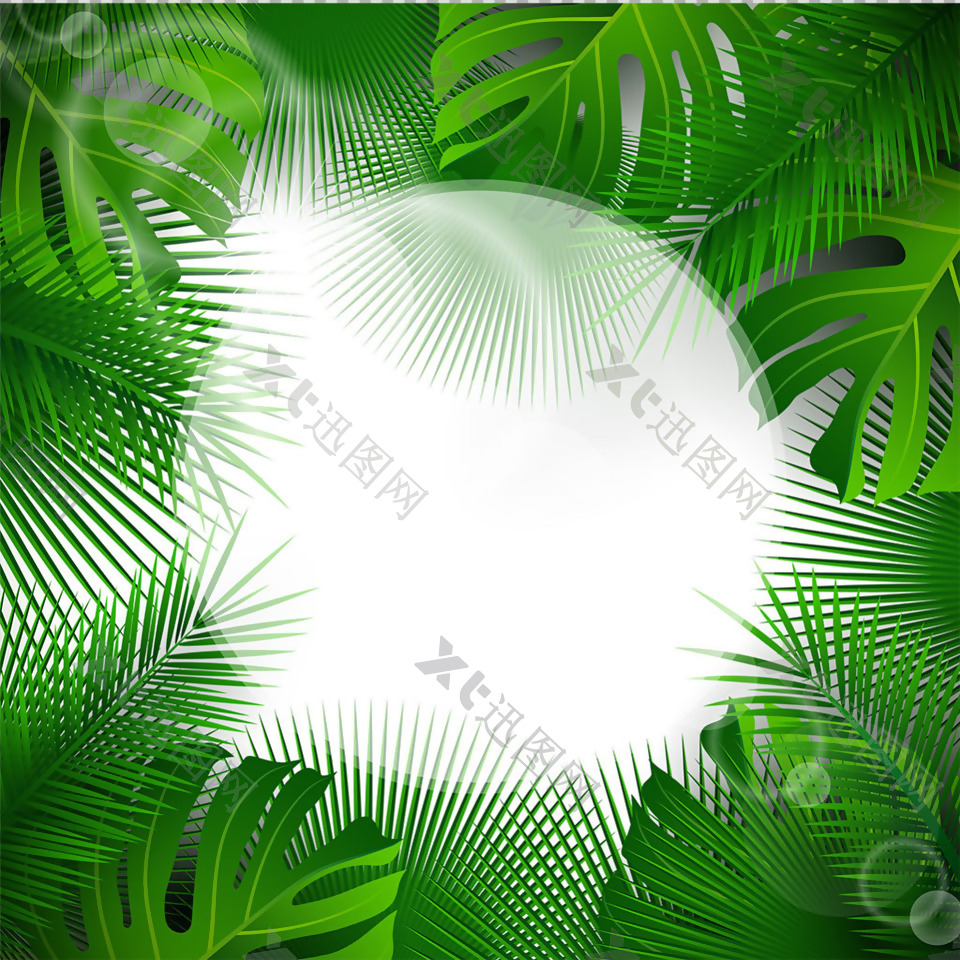 热带绿叶边框免抠png透明图层素材