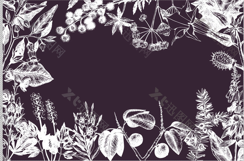手绘叶子花卉边框免抠png透明图层素材