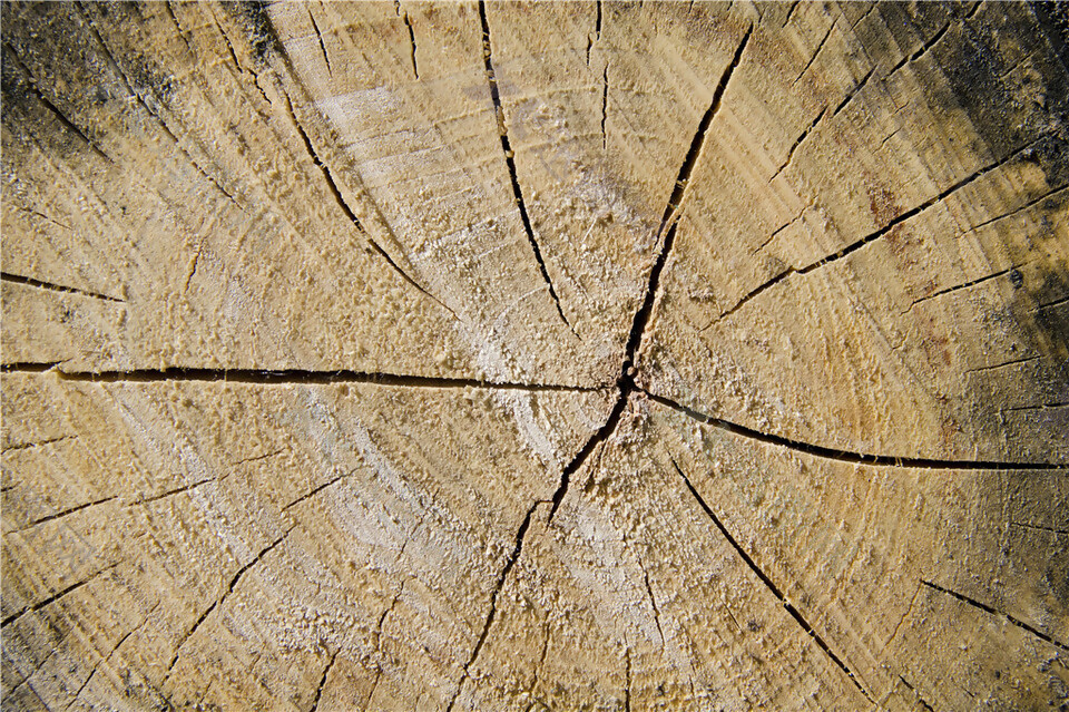 圆环裂纹木头贴图