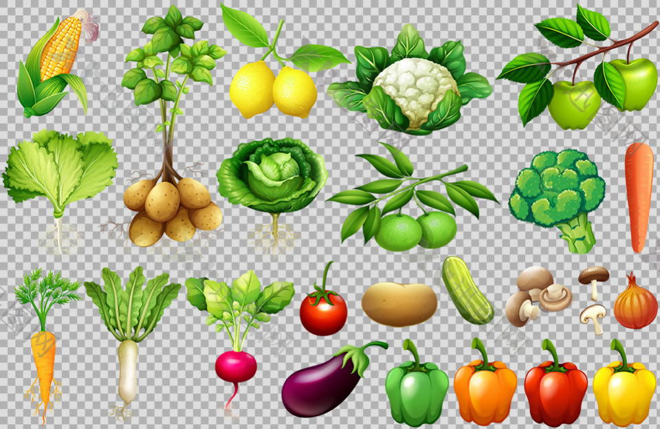 各种新鲜蔬菜免抠png透明图层素材
