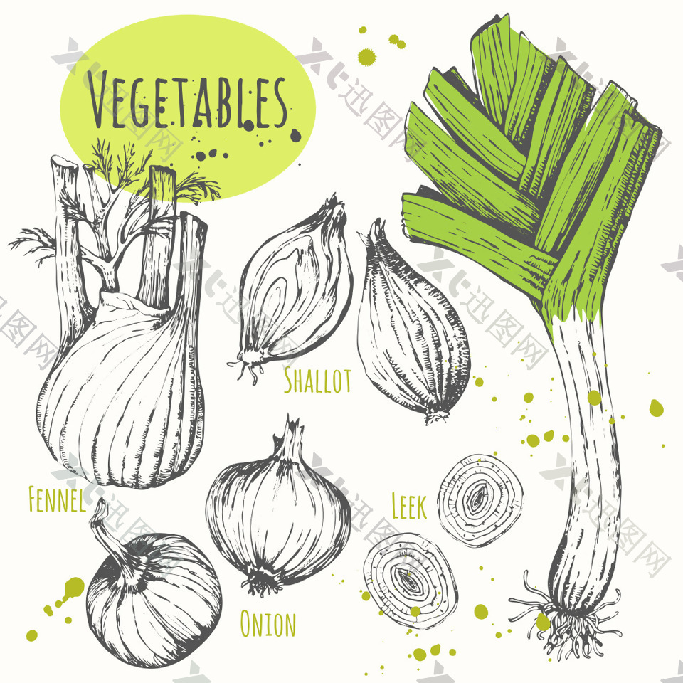 手绘调味蔬菜插画