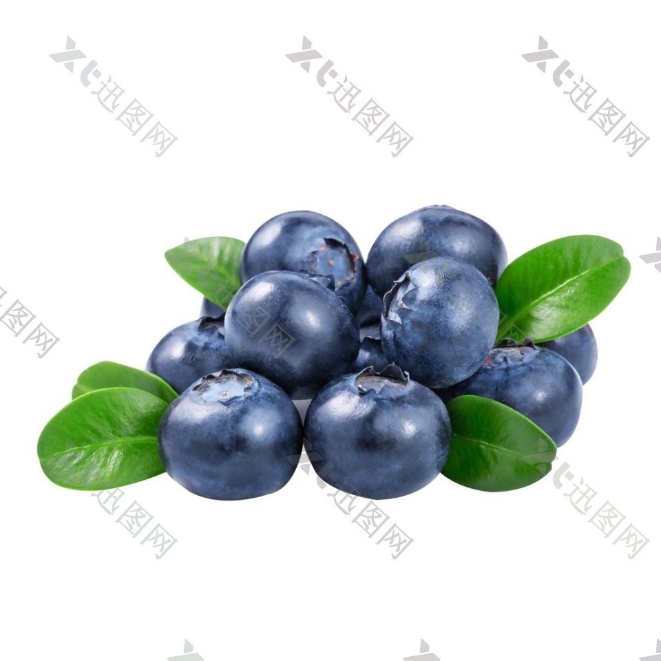 新鲜蓝莓元素