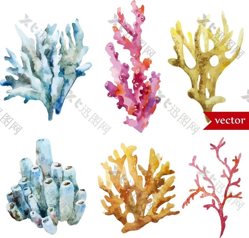 手绘美丽的珊瑚插画