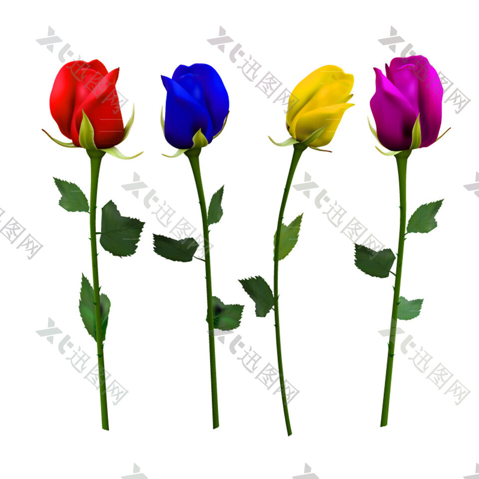 4朵彩色玫瑰花矢量素材