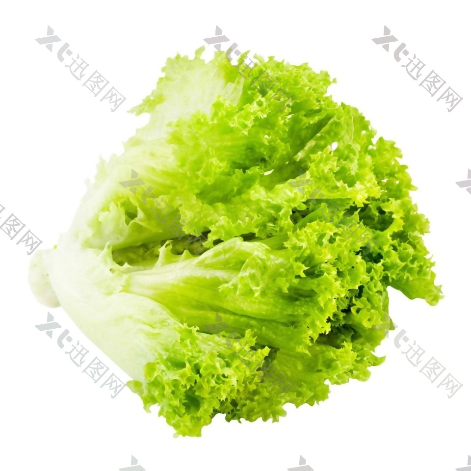 绿色生菜元素