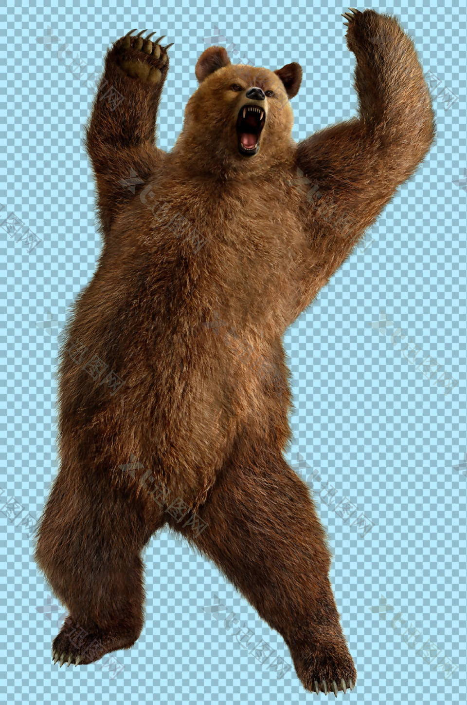 站立的棕熊图片免抠png透明图层素材