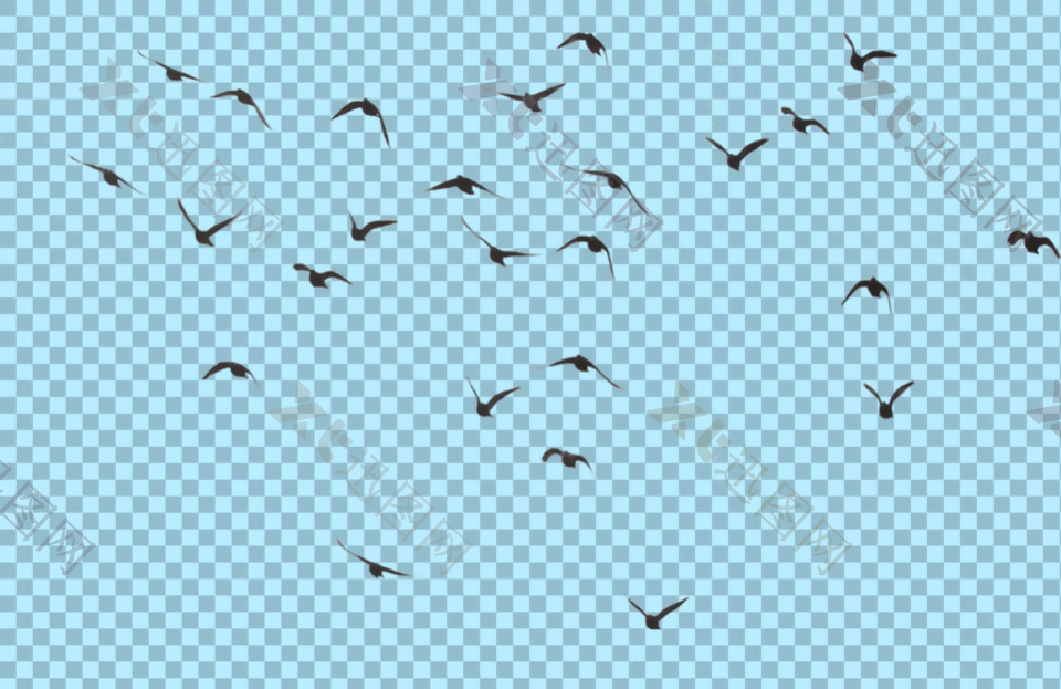 天空飞翔的鸟图片免抠png透明图层素材