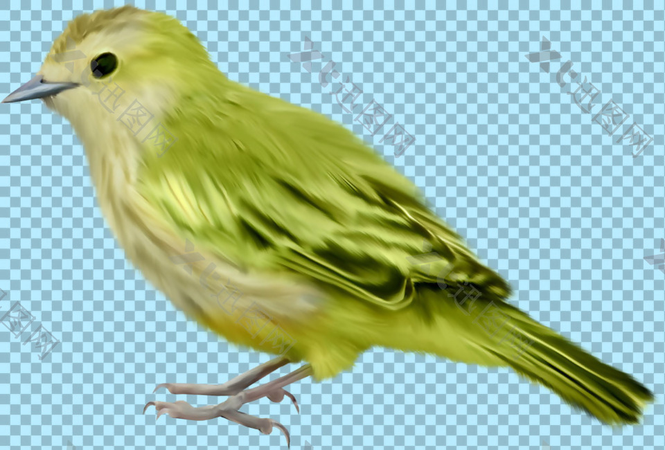 绿色翅膀小鸟图片免抠png透明图层素材