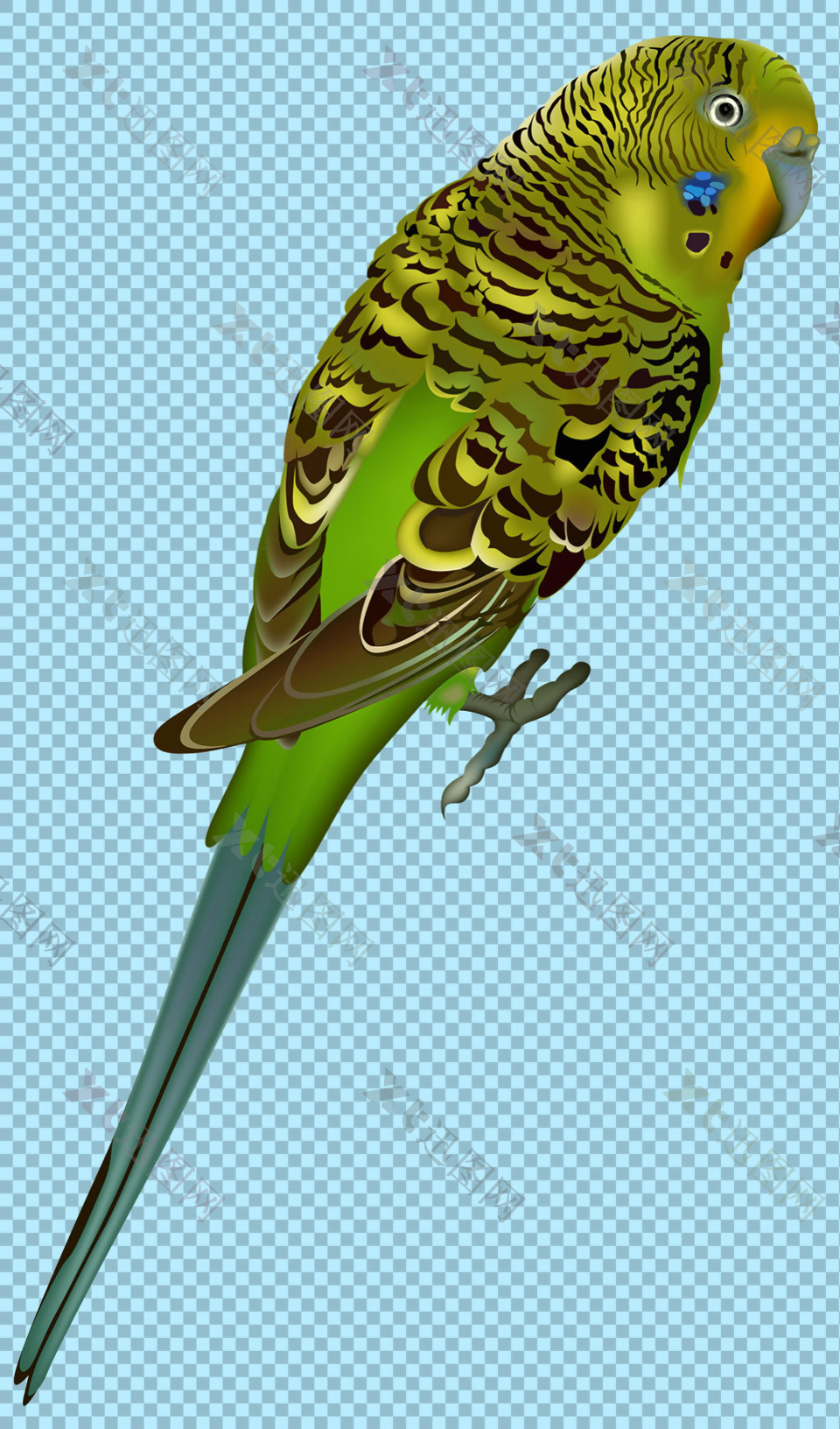 绿色小鸟图片免抠png透明图层素材