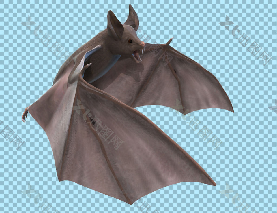 挥着翅膀的蝙蝠图片免抠png透明图层素材