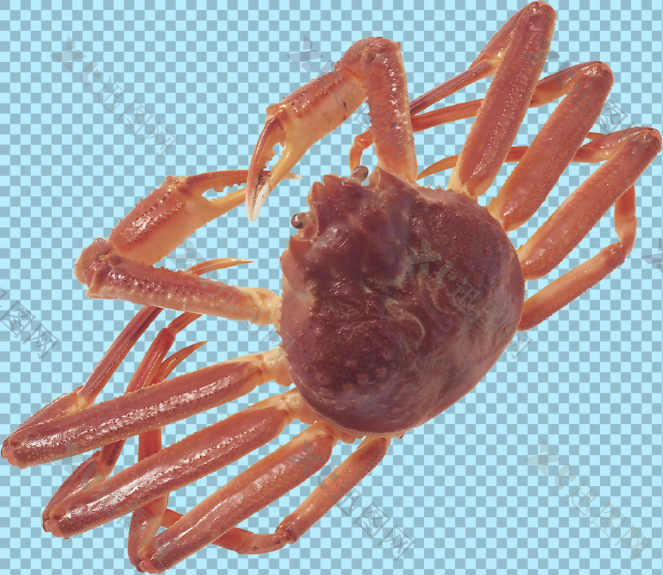 长脚螃蟹图片免抠png透明图层素材