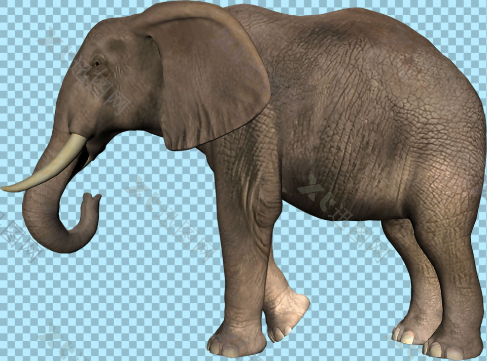 大象侧面图片免抠png透明图层素材
