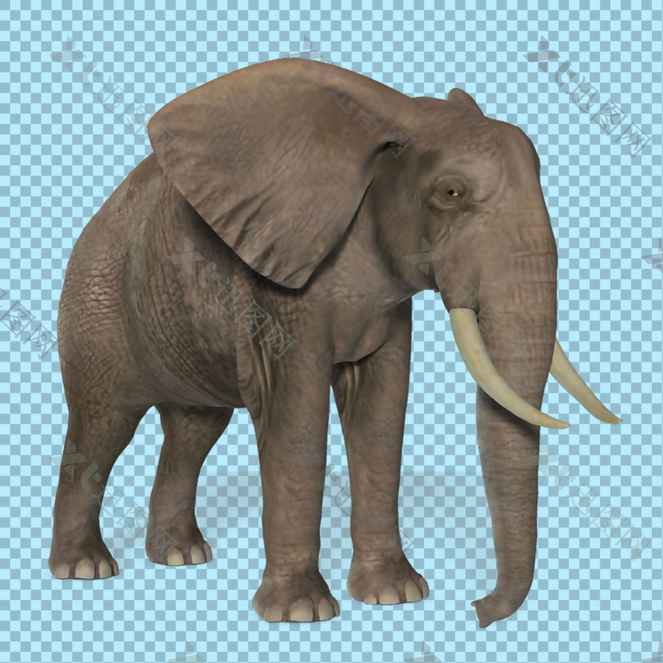 站着的长鼻子大象免抠png透明图层素材