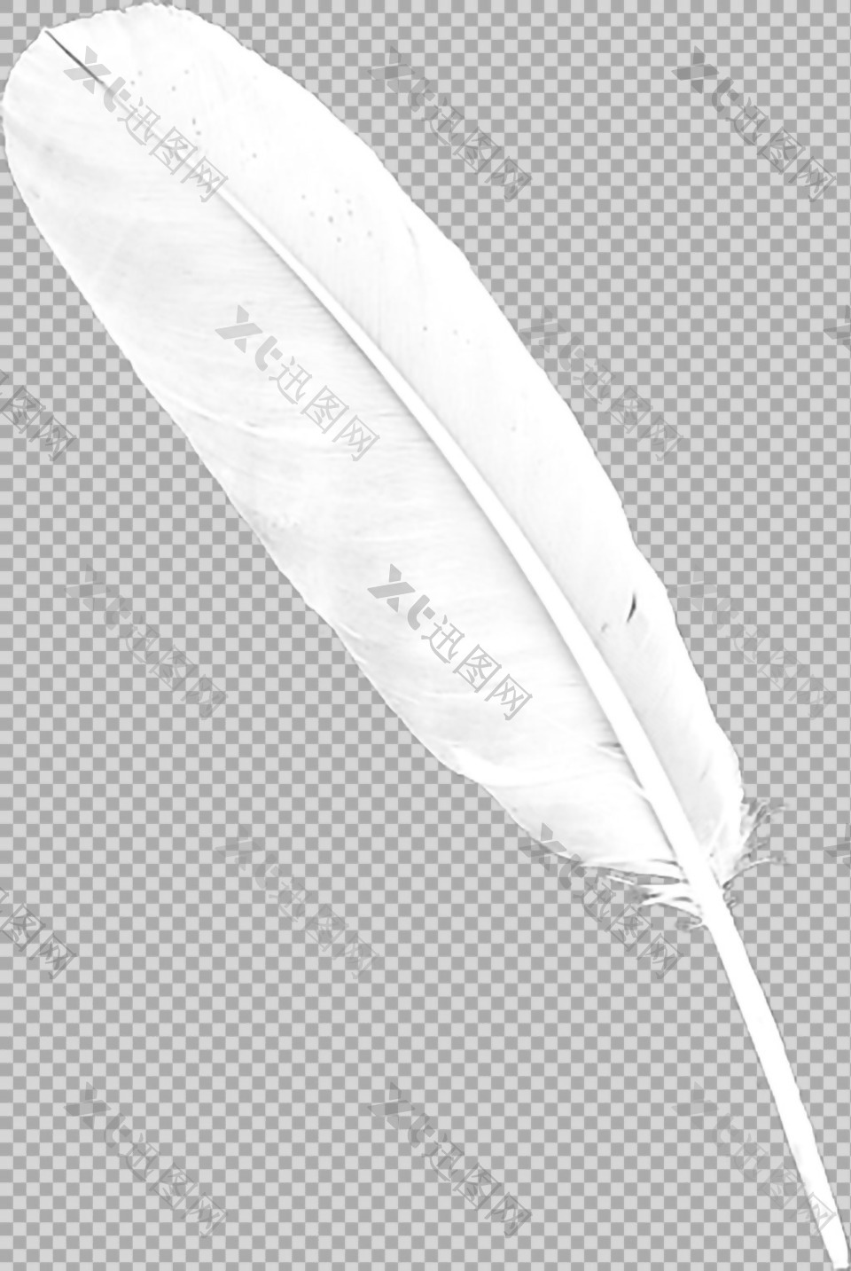手绘白色羽毛图片免抠png透明图层素材