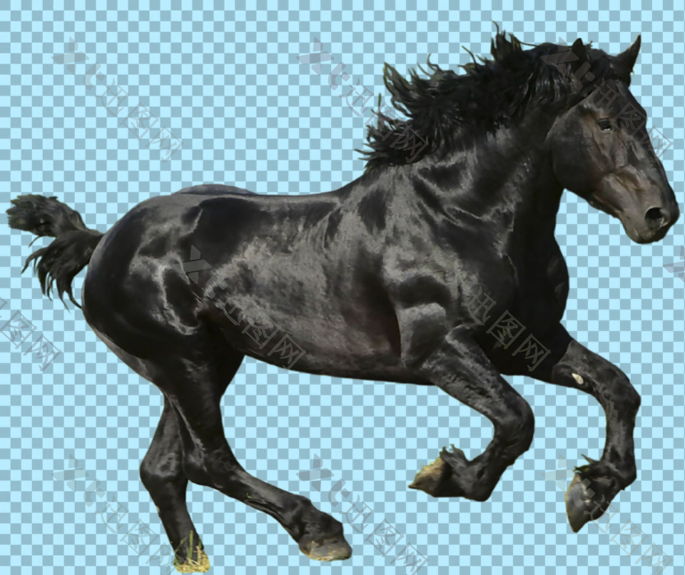 黑色奔腾的骏马免抠png透明图层素材