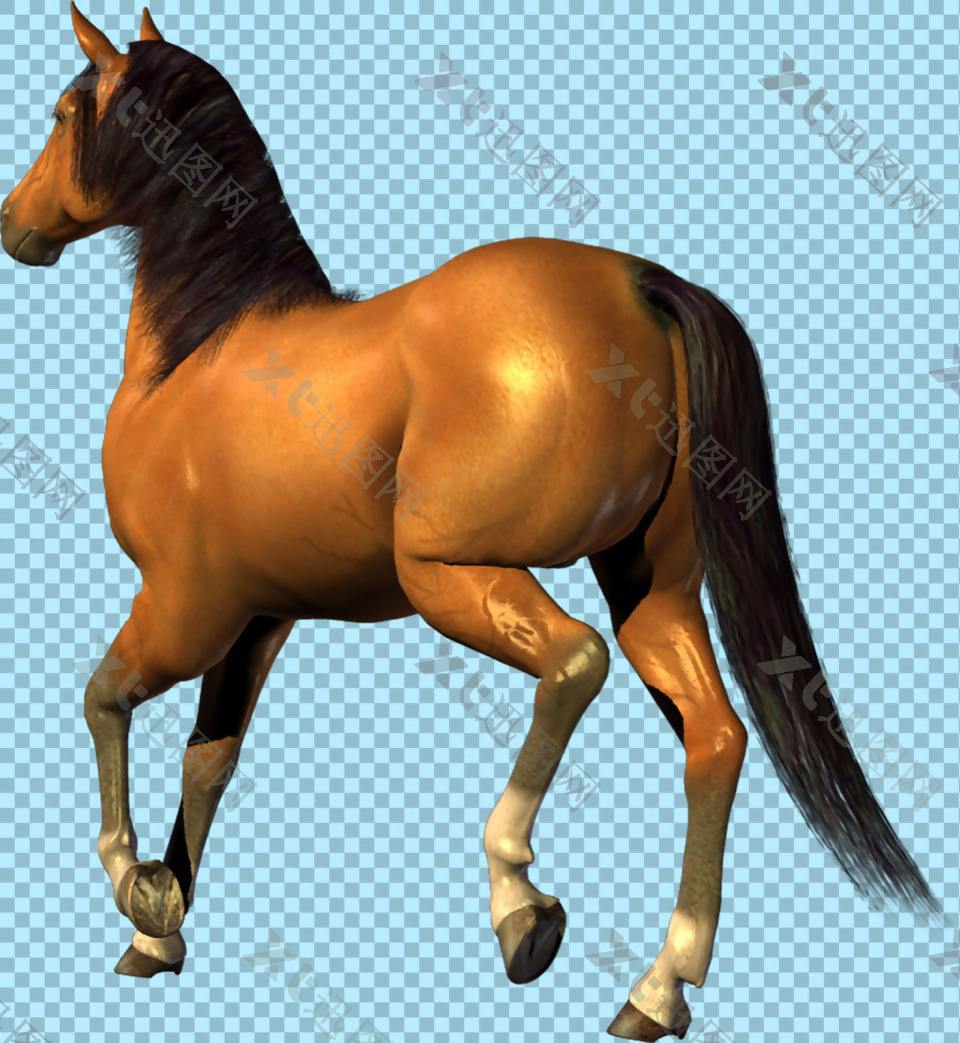 棕色奔跑的马免抠png透明图层素材